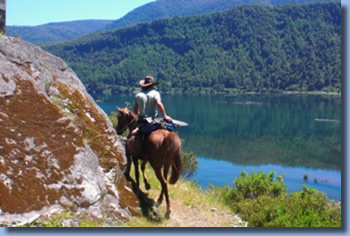 Rider on lakeshore on a horseback trail ride in NP Huequehue, Chile